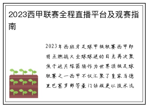 2023西甲联赛全程直播平台及观赛指南